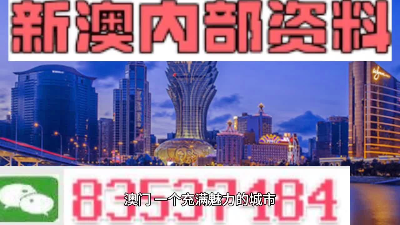 澳门正版资料解析与落实策略，迈向成功的指引（精选解释解析）