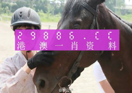 澳门一肖一码一一子，解析与落实的精选解释