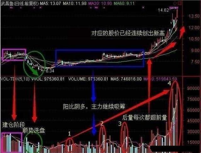 澳门正版今晚开特马，解析与落实策略探讨