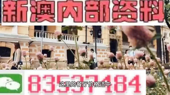 新澳门精准资料大全与管家婆料详解，解析与落实之道