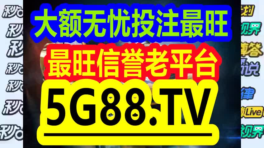 揭秘最准一码一肖与管家婆大小中特，深度解析与落实方法