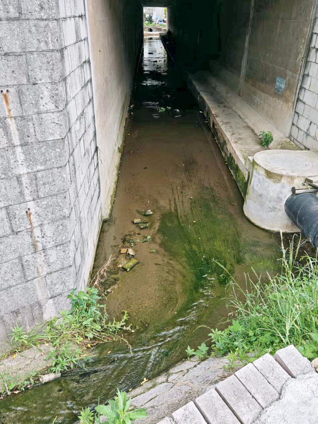 2024新臭精准资料大全，深度解析与贯彻落实策略