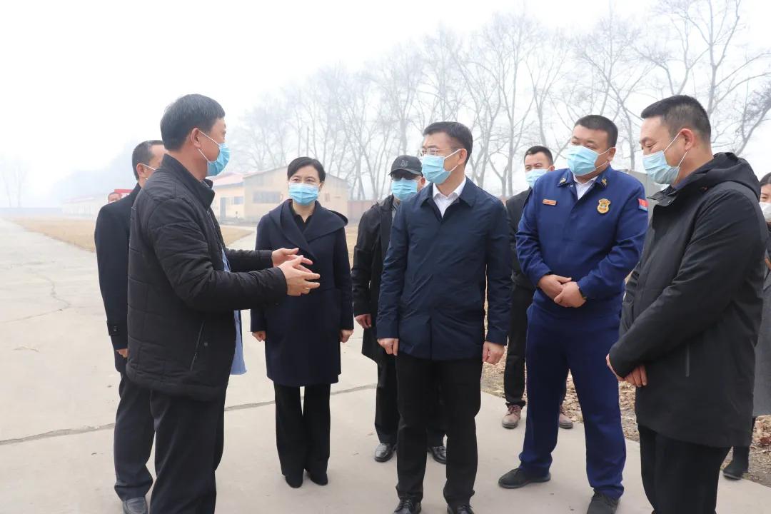 新奥最精准免费大全，精选解释解析与落实策略