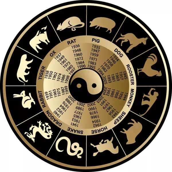 揭秘生肖预测真相，最准一肖的解析与资料精选