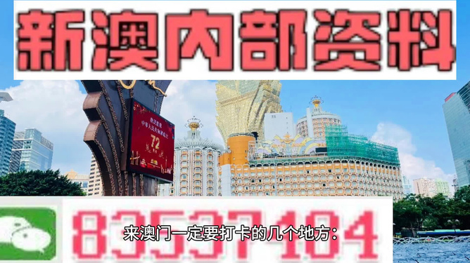澳门精准正版免费大全，新解析与实施的探索之旅