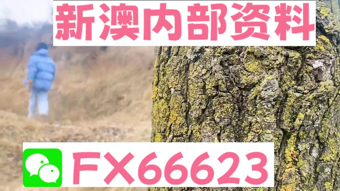 新澳资彩长期免费资料精选解析落实