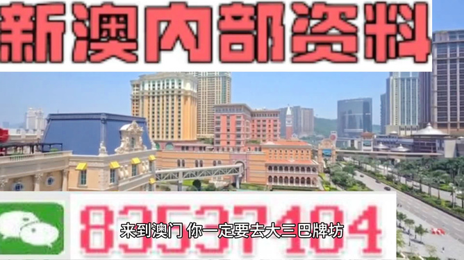 新澳门最精准正最精准龙门，解析与落实的精选解释