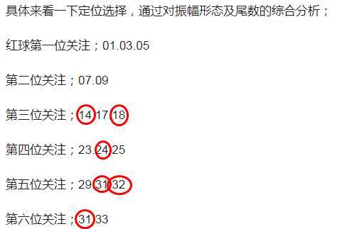 澳门特马今晚开奖06期，解析与落实精选解释